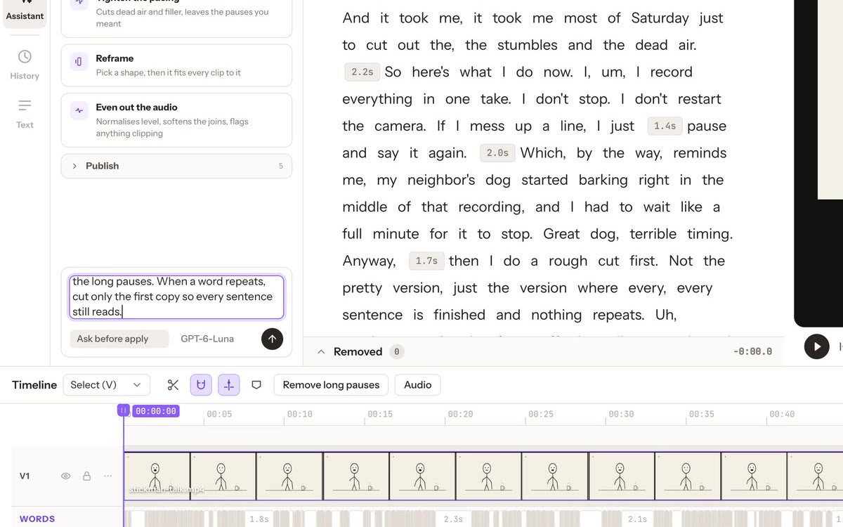 A rough-cut request typed into the Assistant panel